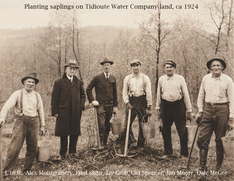 Planting saplings on Tidioute Water Company land, ca 1924.