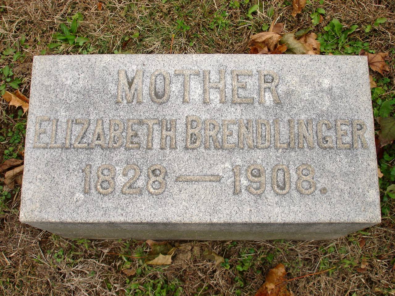 Burials at Fairview Cemetery, Colebrookdale Township, PA