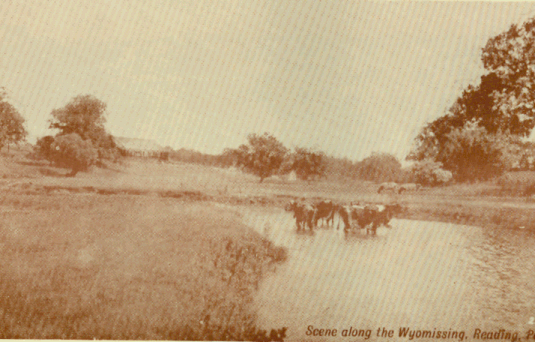 Picture of Wyomissing Creek