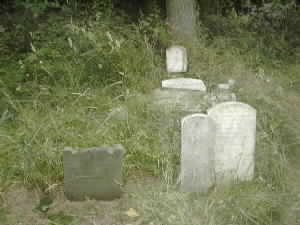 East side of graveyard