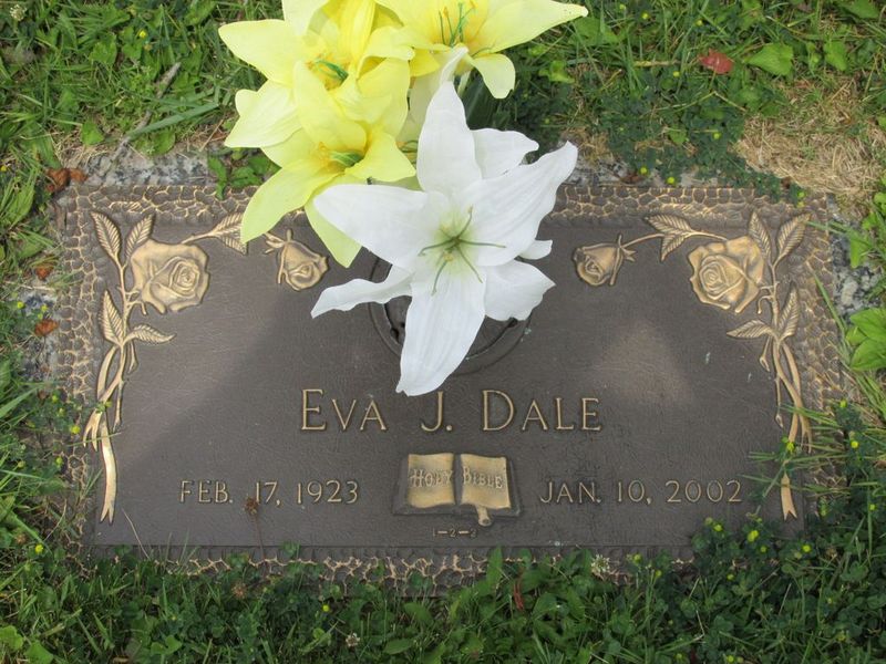 Surnames Starting with D