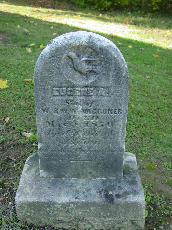 Surnames Starting with W