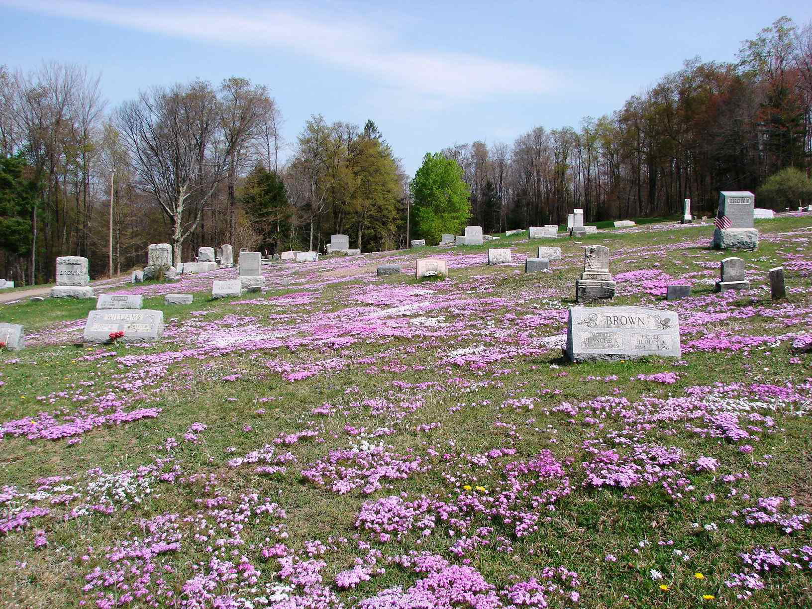 Brown Cemetery