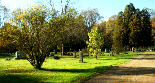 Looking into the Enterprise cemetery