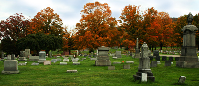 Overview of the cemetery