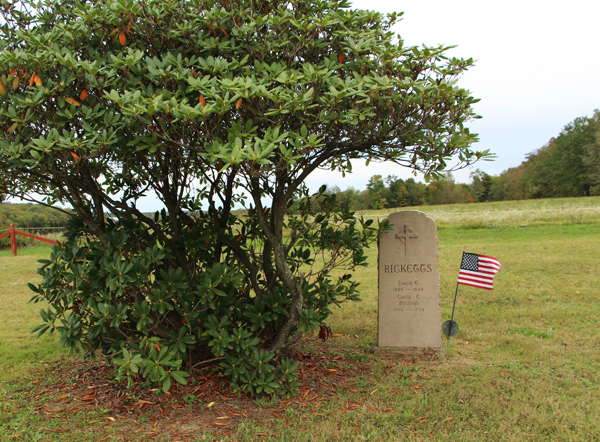 Views of Trim Cemetery, Eldred Township