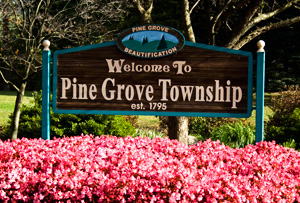 Pine Grove Township sign