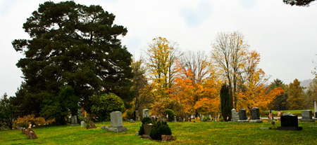 Overview of the Wrightsville Cemetery
