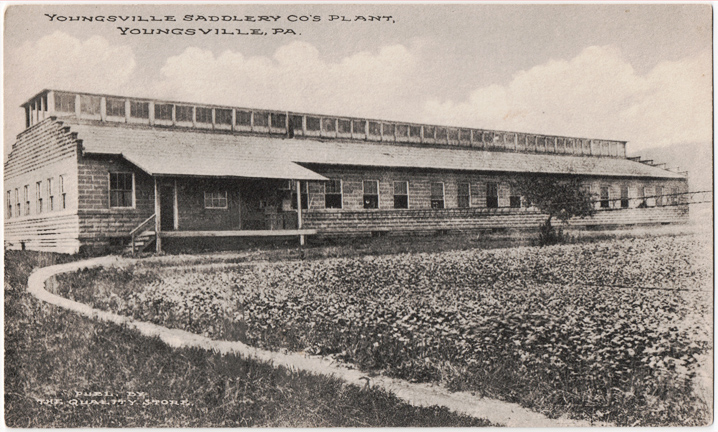 Postcard of the Saddlery Company, Youngsville