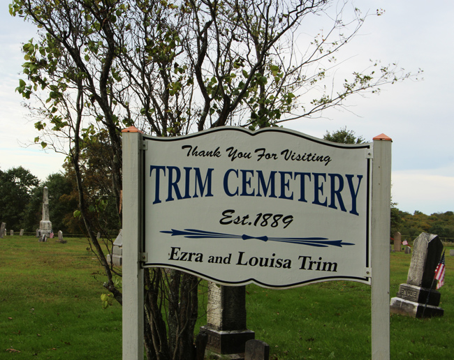 Views of Trim Cemetery, Eldred Township