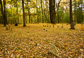 Lenhart Cemetery, Pleasant Township