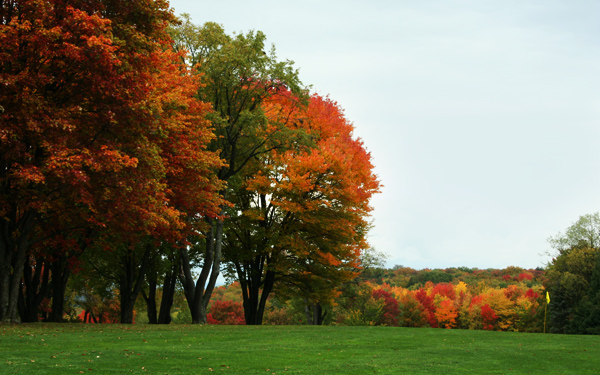 Blueberry Golf Course