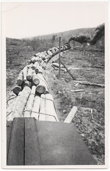 Postcard of lumber industry in Sheffield township