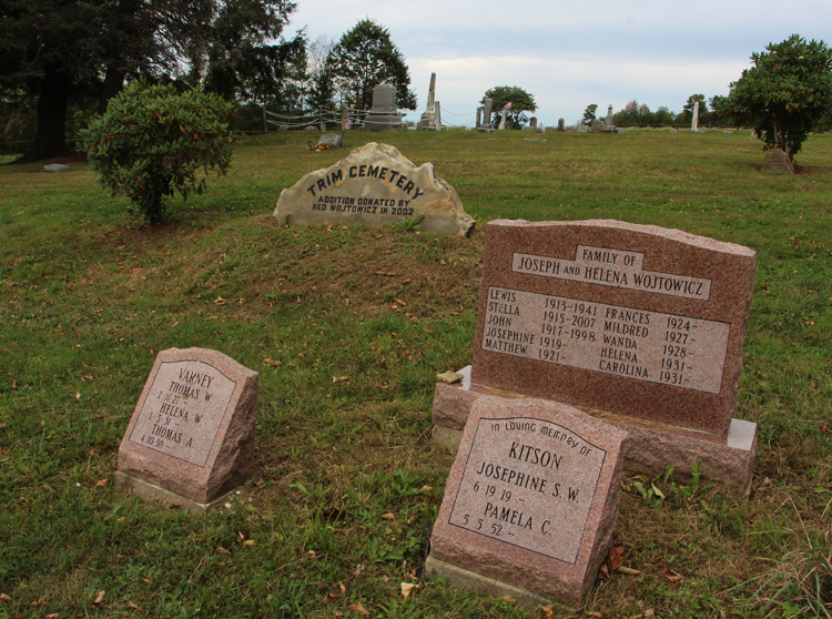 Views of Trim Cemetery, Eldred Township