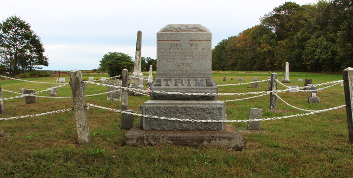 Views of Trim Cemetery, Eldred Township