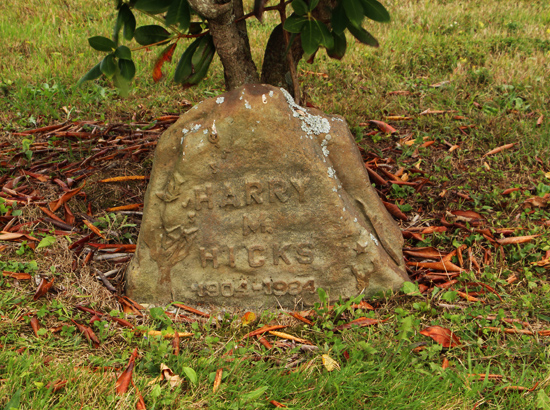 Views of Trim Cemetery, Eldred Township