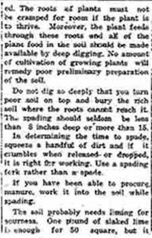 How to rake spade and fertilize your garden and when to plant Part 2