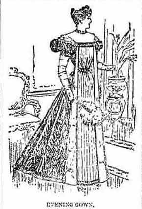 Feb 1895 Evening Gown