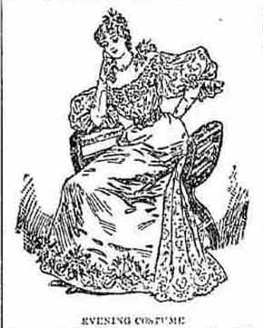 Feb 1895 Evening Costume