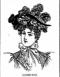 Large decorated hat 1895