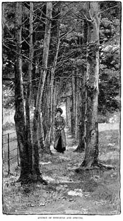 Women's Fashions April 1883 Harper's Magazine