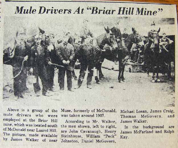 Mule drivers employed at Briar Hill mine, which was located south of McDonald near Laurel Hill