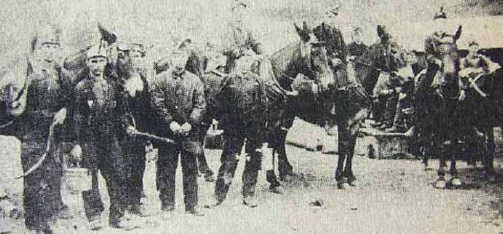 Mule drivers employed at Briar Hill mine, cropped
