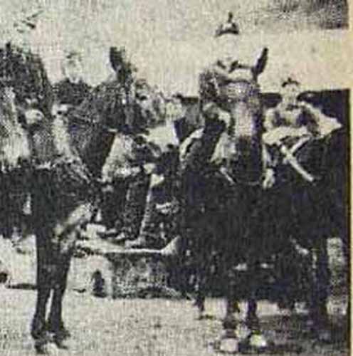 Mule drivers employed at Briar Hill mine, right side