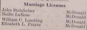 Marriage License: John STEINHEISER and Nellie LaROSE in 5-1-1914 paper